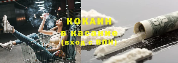шишки Кулебаки