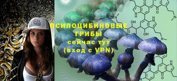 шишки Кулебаки