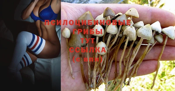 шишки Кулебаки