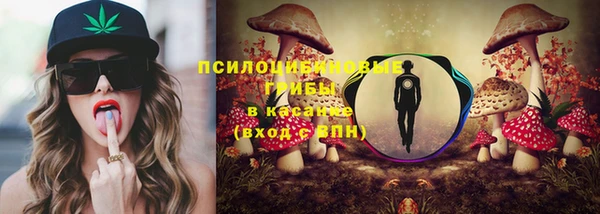 2c-b Кукмор
