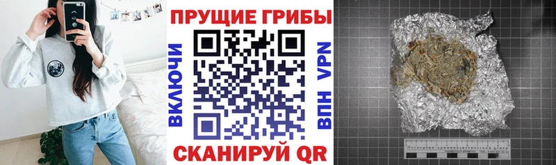 Псилоцибиновые грибы мухоморы Талдом
