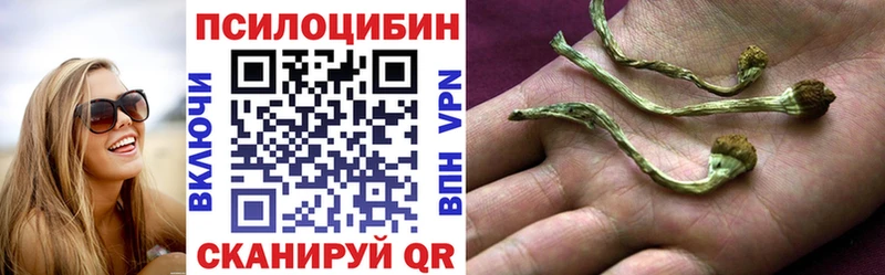 Псилоцибиновые грибы мицелий  Талдом 